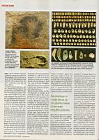 Dessine moi un mammouth, Sciences & Avenir 781, mars 2012 (4)